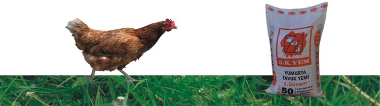 311 Yumurta Tavuk Yemi 2. Dönem