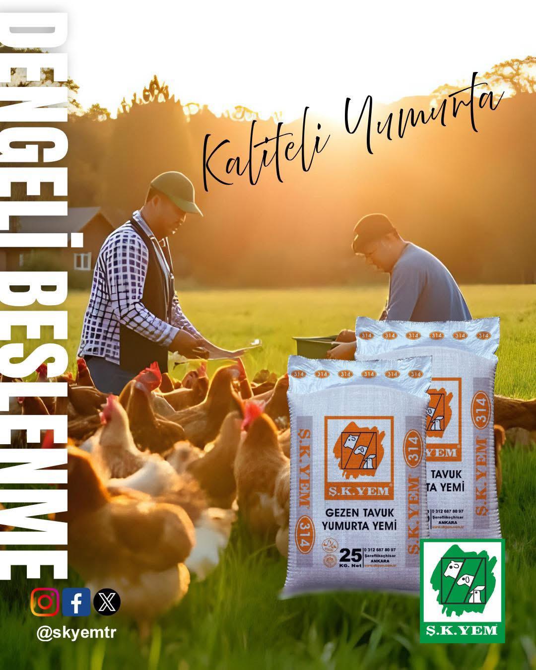 Özgür Tavuklarda İsabetli Tercih