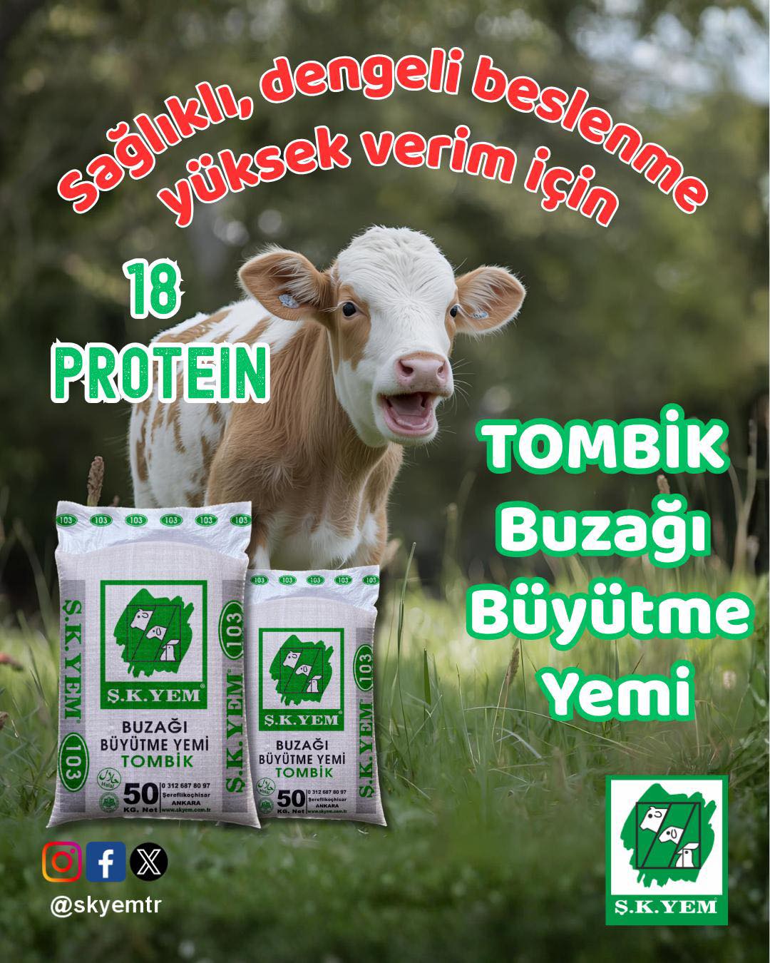 Sağlıklı, Dengeli Beslenme Yüksek Verim İçin Tombik Buzağı Büyütme Yemi